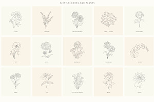 Birth-Flowers. Trendy Plants, Logos