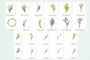 Spring Whispers - Watercolor Tulips, an Object Graphic by NatalieArtsDenysenko (Thumbnail 3 of 7)