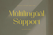 Eclleria - Stylish Serif Font, a Serif Font by Aqeel_Art (Thumbnail 7 of 8)