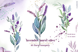 Lavender Watercolor Laurel Olive