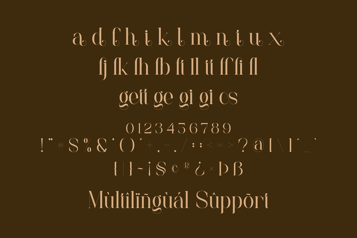Magetta - Beautiful Serif Font, a Serif Font by Aqeel_Art (Photo 11 of 12)