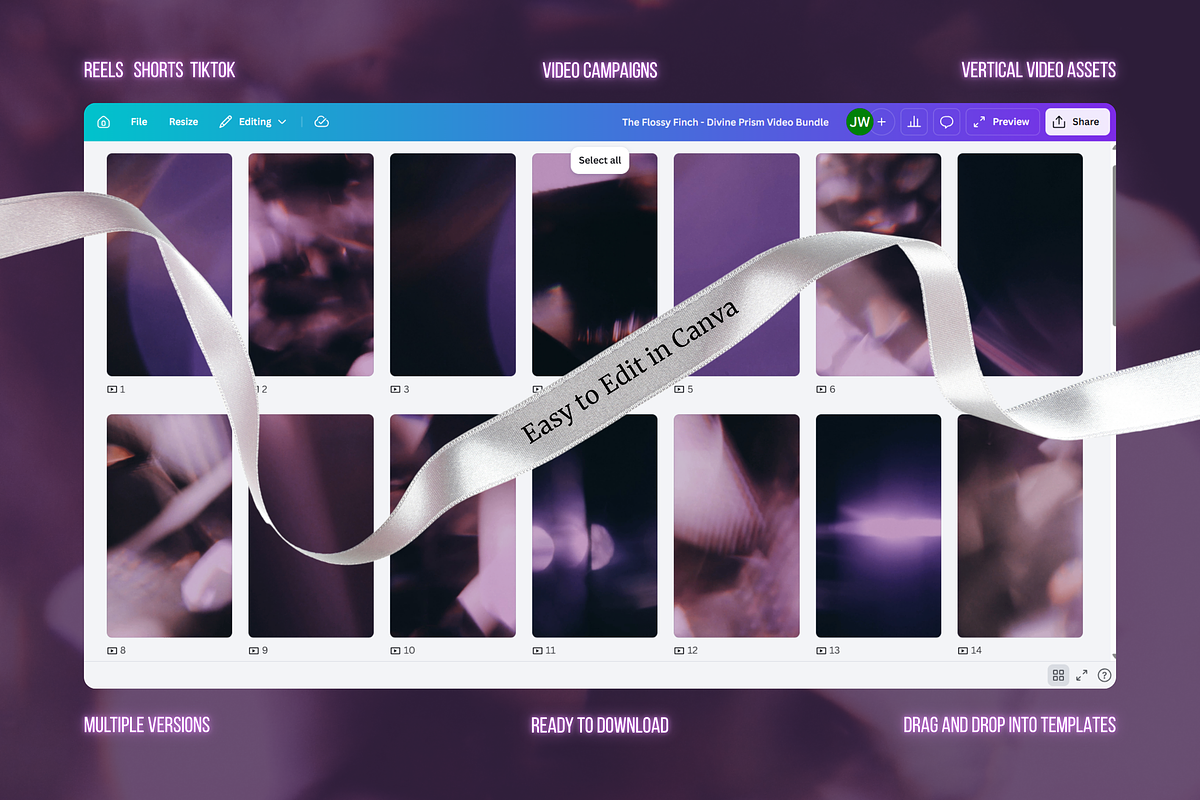 Divine Prism Video Bundle, a Social Media Template by The Flossy Finch (Photo 21 of 21)