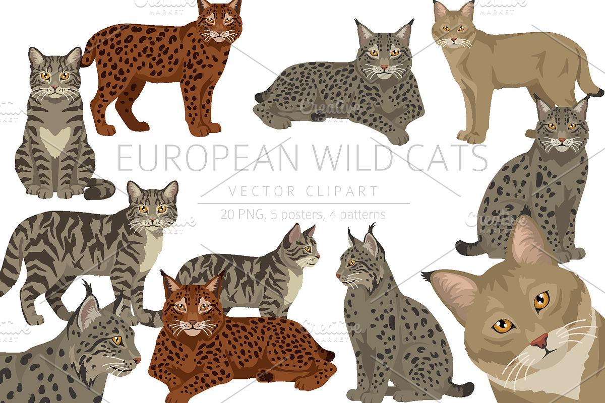 European wild cats clipart, an Animal Illustration by pet design shop (Photo 1 of 10)