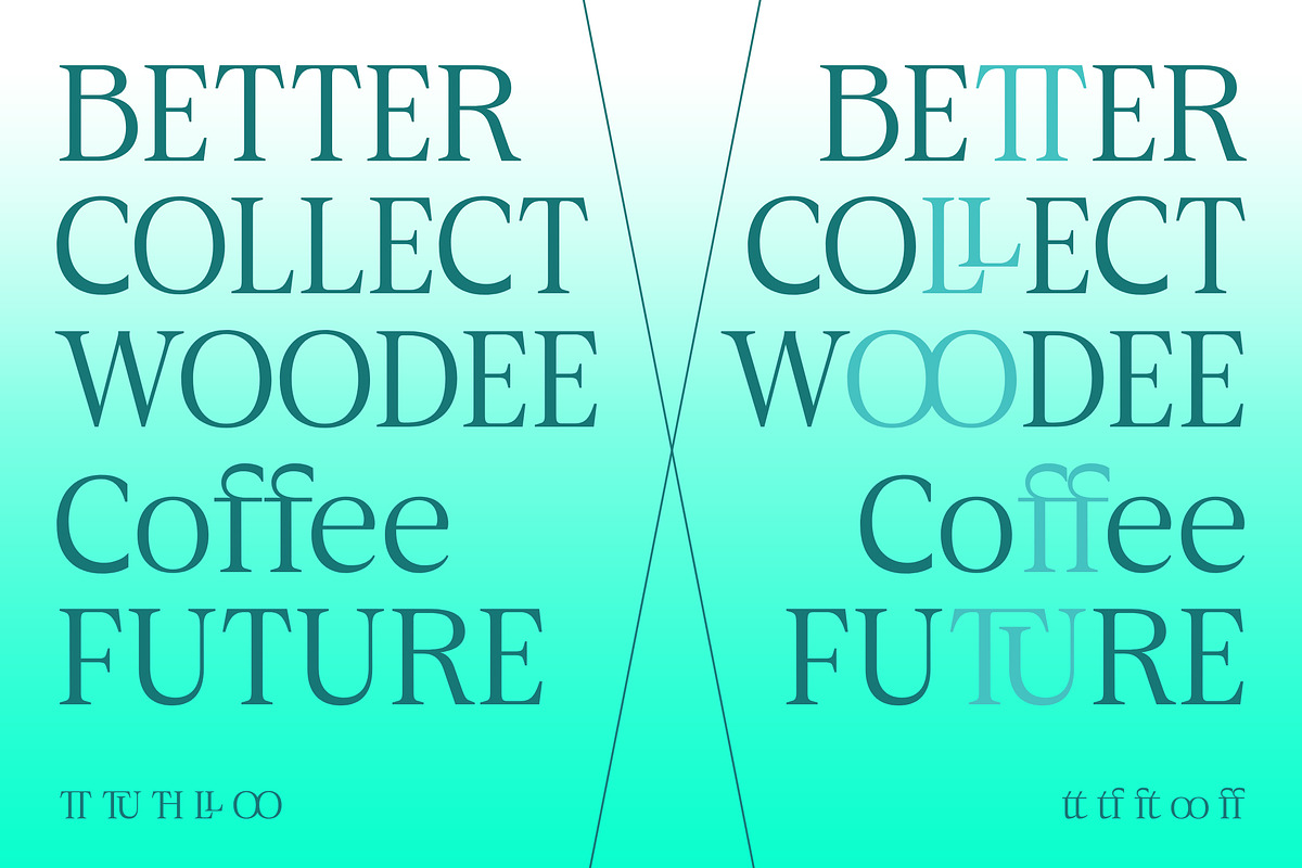 Aganote Typeface | 91 Style Font, a Serif Font by Bosstype Studio (Photo 9 of 12)