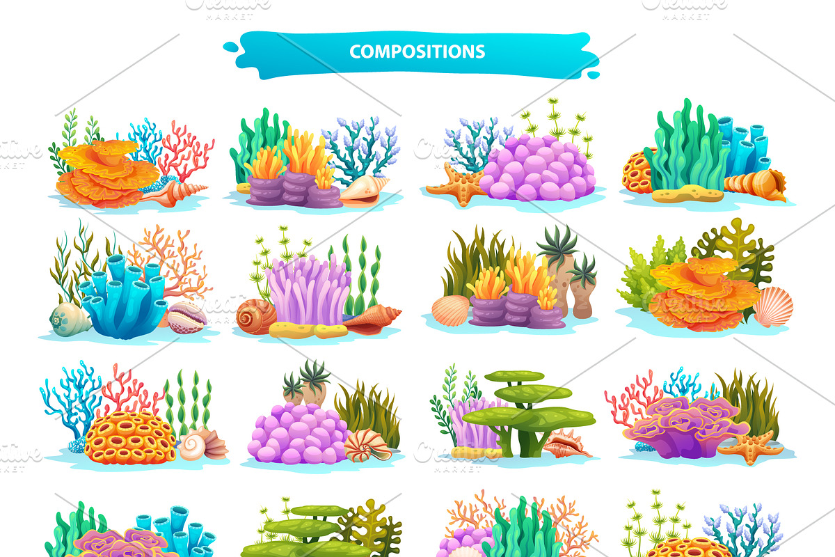 Coral Reef & Seashell Collection, a Decorative Illustration by YG Studio (Photo 4 of 4)