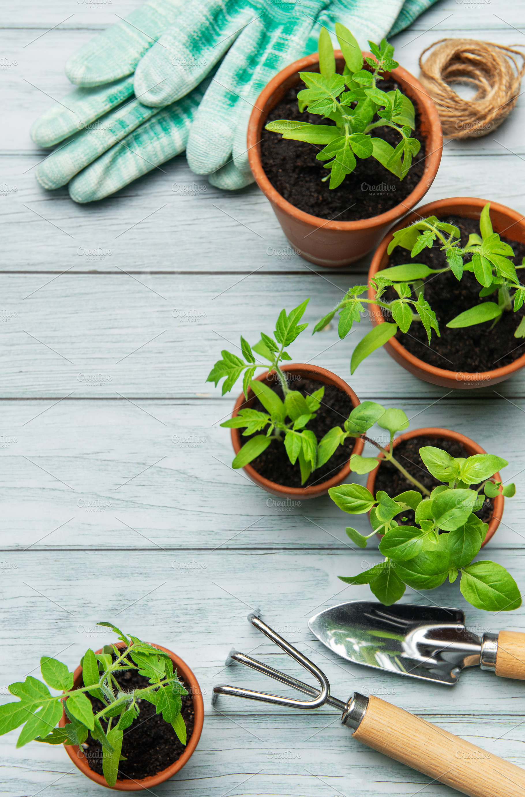 Gardening tools and seedlings resting on rustic wooden table, a Food & Drink Photo by Olena Rudo