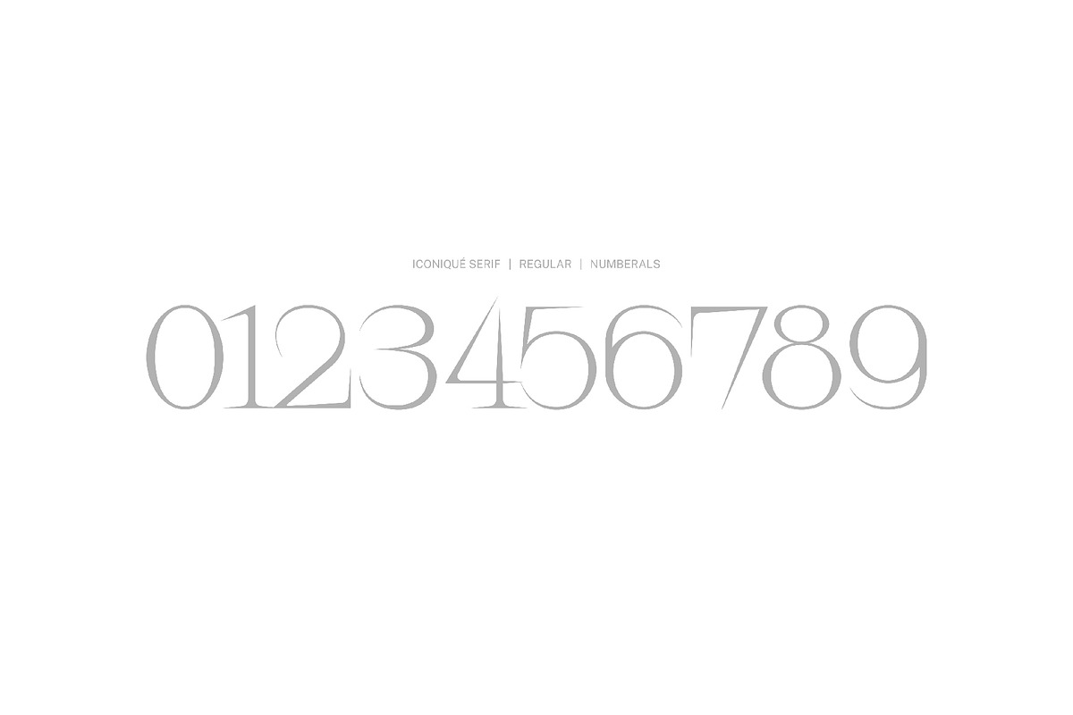 Iconique Serif Regular, a Serif Font by Nguyen Type (Photo 5 of 9)