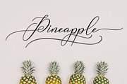 Camelia Calligraphy Modern, a Script Font by Teweka (Thumbnail 2 of 11)