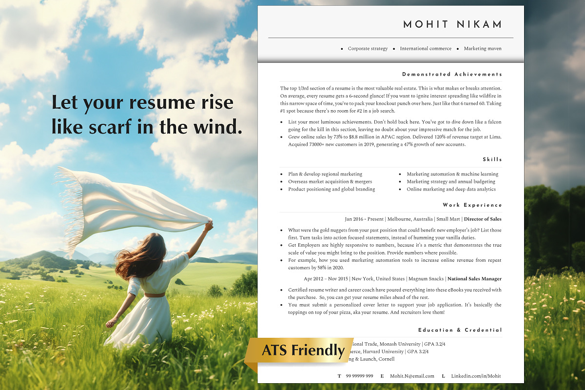Director Resume Template, CV, a Resume Template by Career Canvas (Photo 1 of 11)