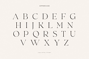 Calista - Classy Elegant Font, a Serif Font by Sensatype (Thumbnail 17 of 21)
