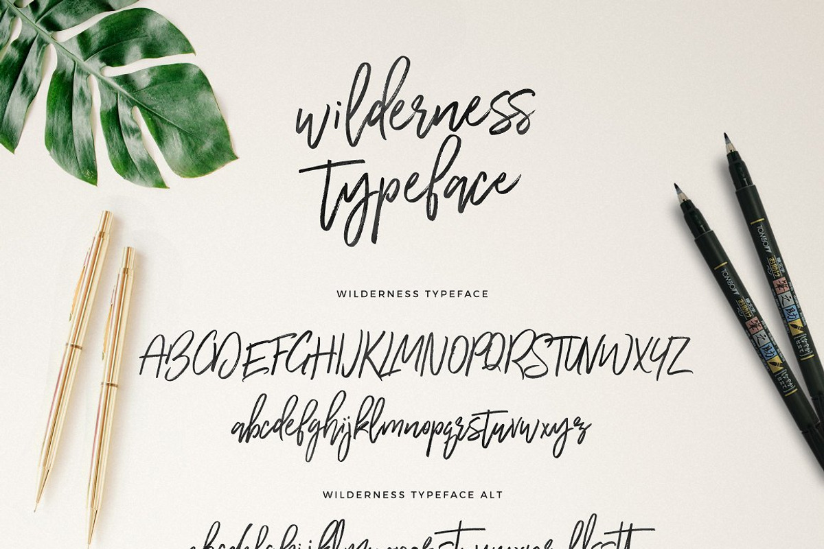 Typographer's Dream Box + 200 Logos, a Script Font by Mats-Peter Forss (Photo 48 of 130)
