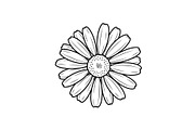 Daisy Flower Line Art Vector Bundle0, an Illustration by jahid234 (Thumbnail 35 of 51)