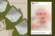 Through the Vellum - Backgrounds, a Background Graphic by Dina Mae (Thumbnail 3 of 13)