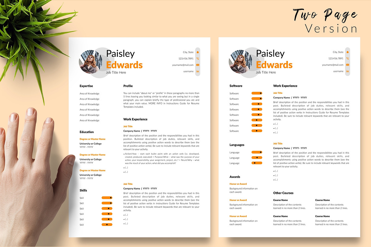 Modern CV Format / Resume - Paisley, a Resume Template by Templates Design Co. (Photo 3 of 17)