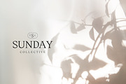 Modern Premade Logo Bundle, a Branding & Logo Template by Forth and Wild (Thumbnail 10 of 11)