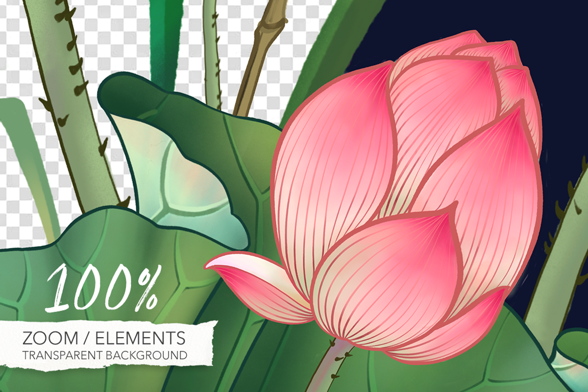 Lotus patterns and illustrations, a Pattern Graphic by Annet lovart (Photo 5 of 17)