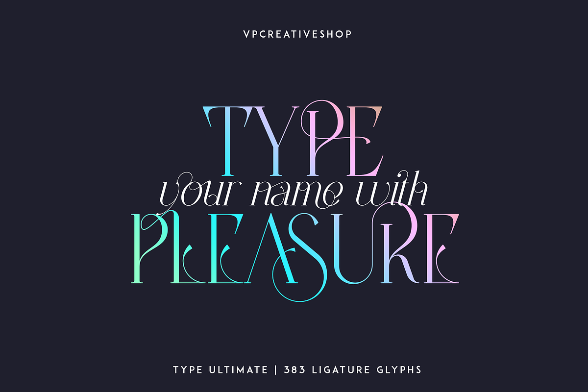 Type Ultimate - serif logo font, a Serif Font by VP Fonts (Photo 22 of 24)