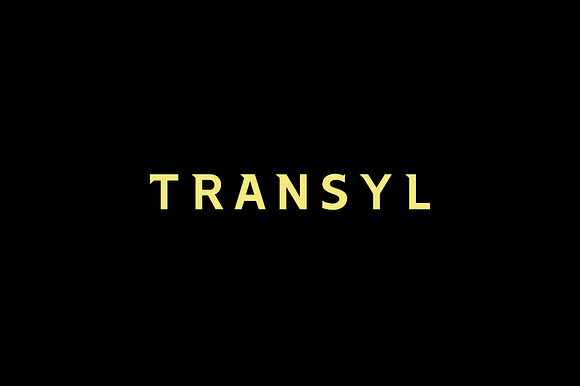 TRANSYL - Elegant Display Typeface preview 8