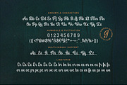 Andemyla Script, a Script Font by Fargun Studio (Thumbnail 13 of 20)