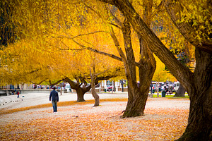 Man On Autumn Stroll, a Person Photo by THP Creative