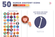 50 Human Anatomy Icons, an Icon by Dighital (Thumbnail 5 of 10)