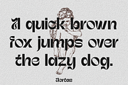 Uertas, a Sans Serif Font by Sign Studio (Thumbnail 10 of 11)