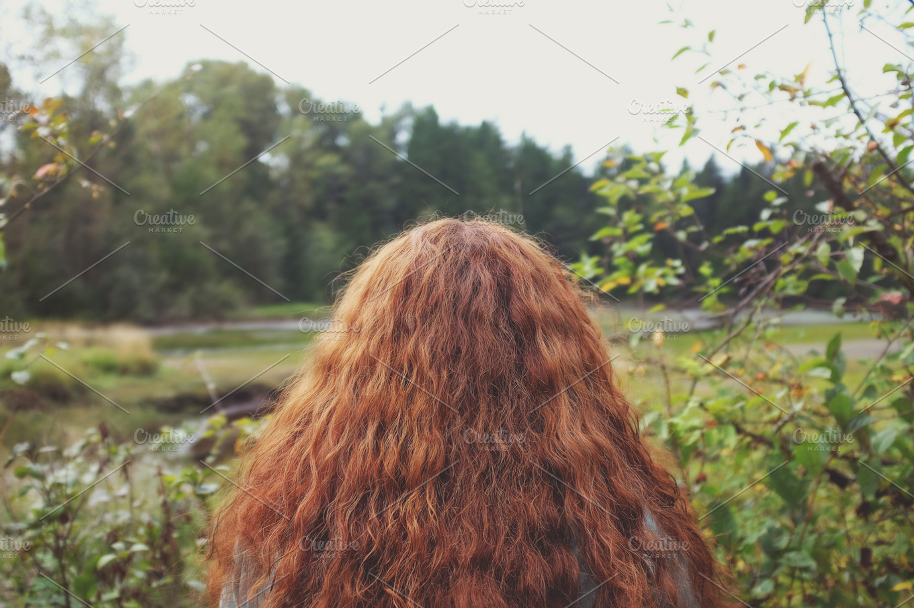 Auburn In The Woods