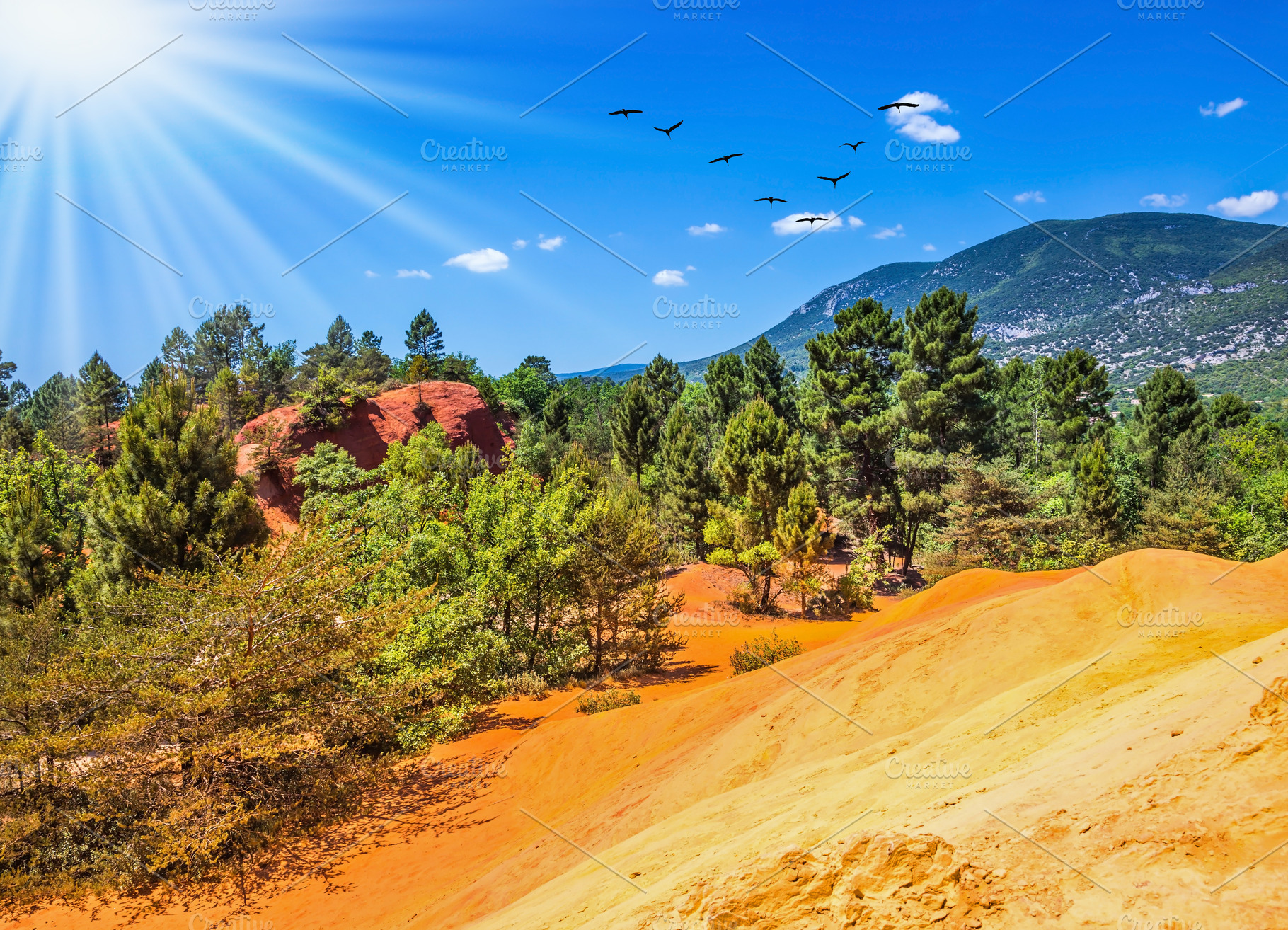 The color of ocher, a Nature Photo by kavram