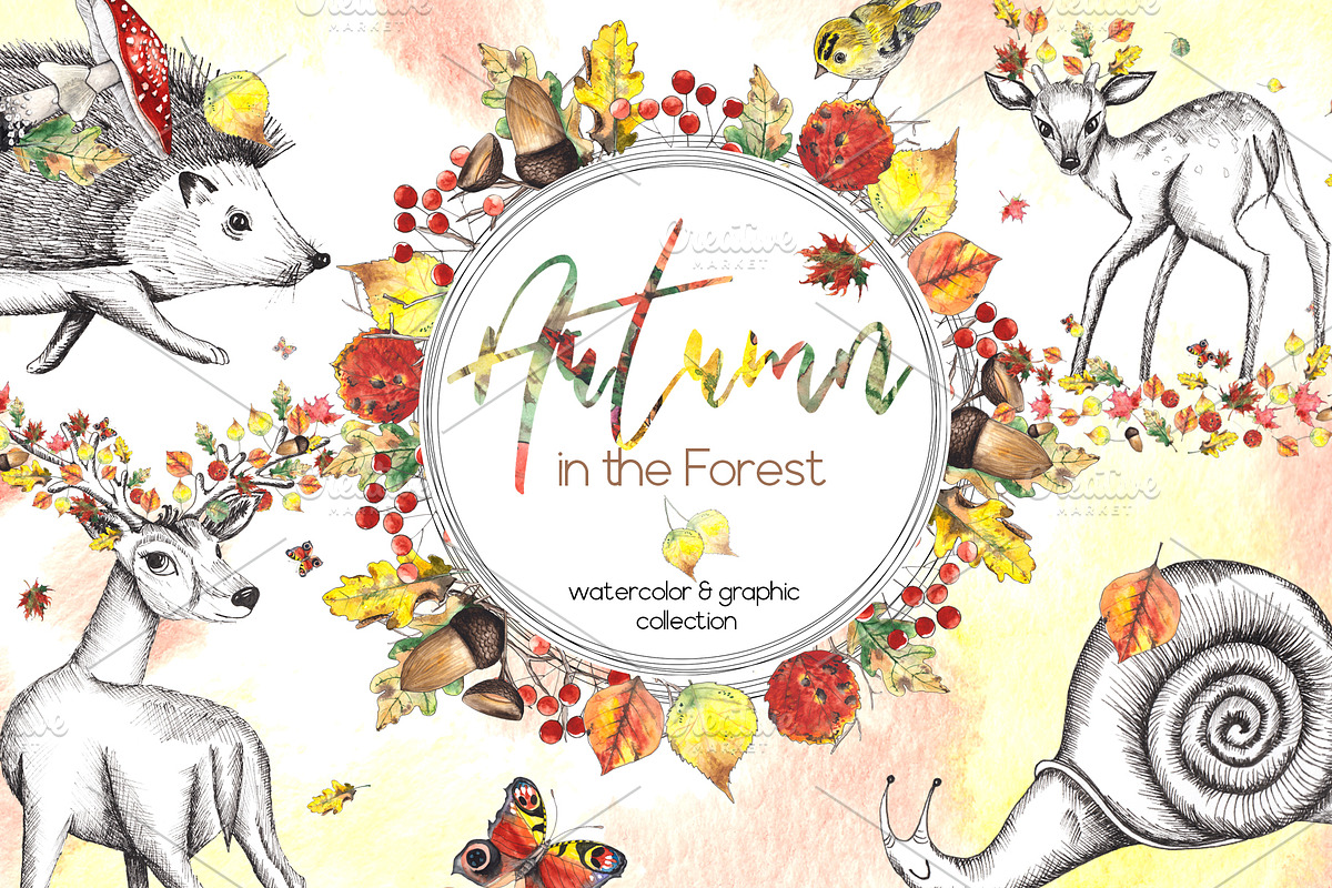 Autumn. Watercolor & graphic set, an Object Graphic by Ana-Sakuta (Photo 1 of 15)