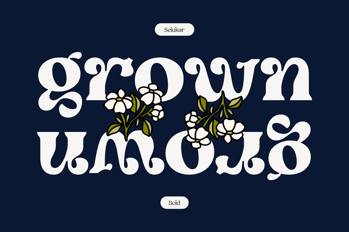 Selukar - Display Variable Font, a Serif Font by Artflorara (Photo 6 of 16)