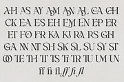 Tenskir - Serif Font, a Serif Font by NDNL Studio (Thumbnail 9 of 9)