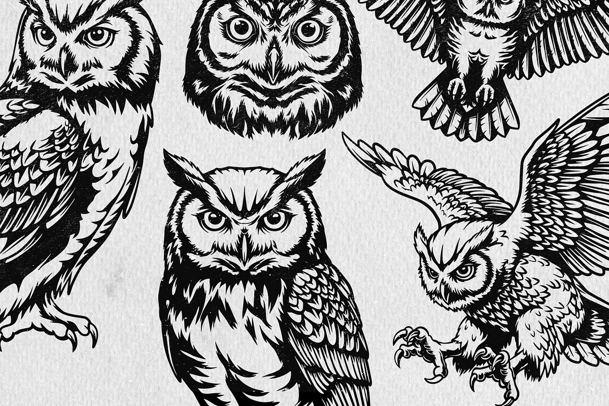Owl Illustration Pack, an Animal Illustration by Tekuni (Photo 3 of 12)