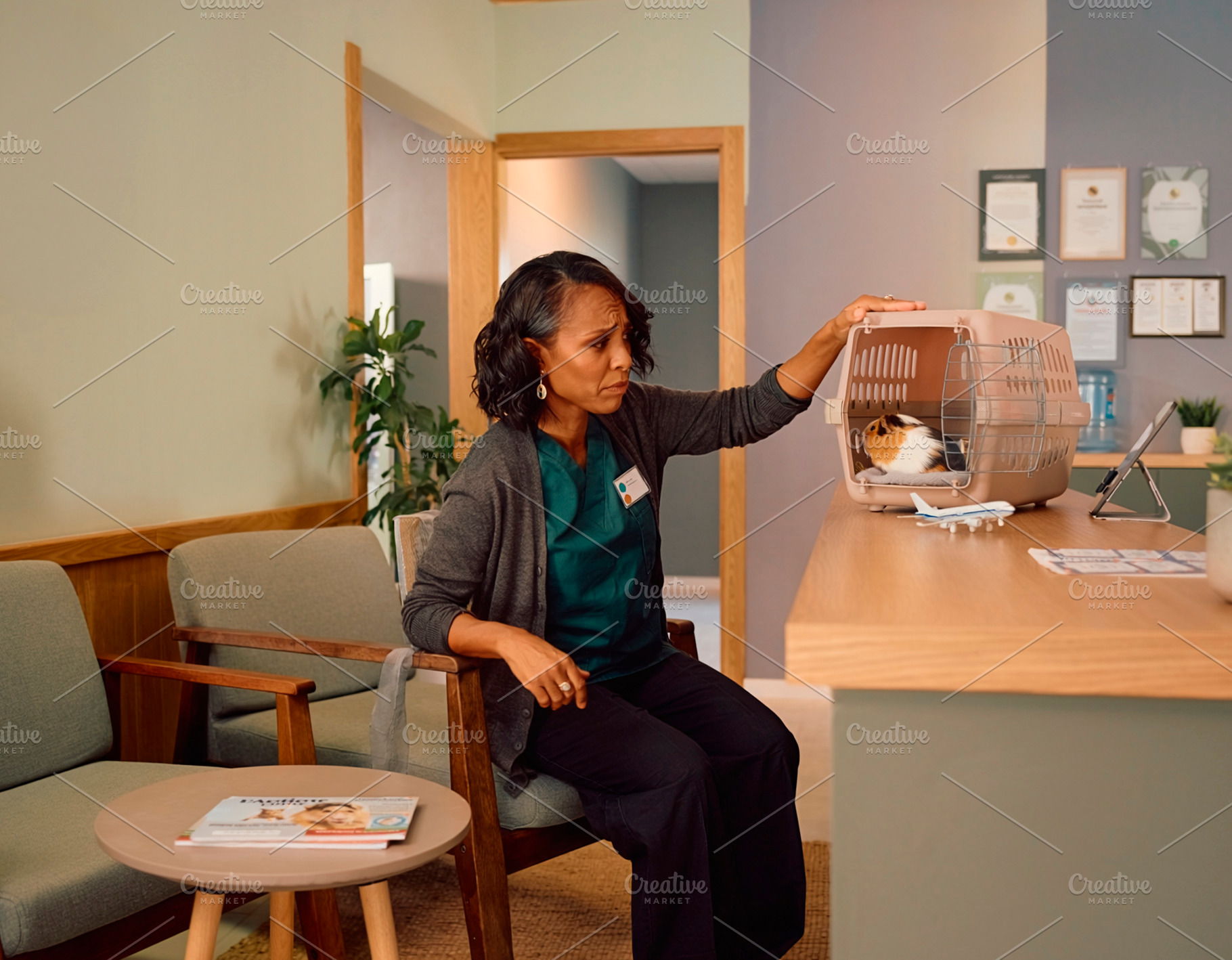 Mature black woman at veterinary clinic waiting area with guinea, a Photo by DanFLCreativo