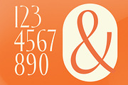 Zamilah Modern Serif Display, a Serif Font by timelesstype.co (Thumbnail 15 of 20)
