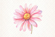 Lavender & Pink Flowers Watercolor, an Illustration by Watercolor design (Thumbnail 11 of 13)