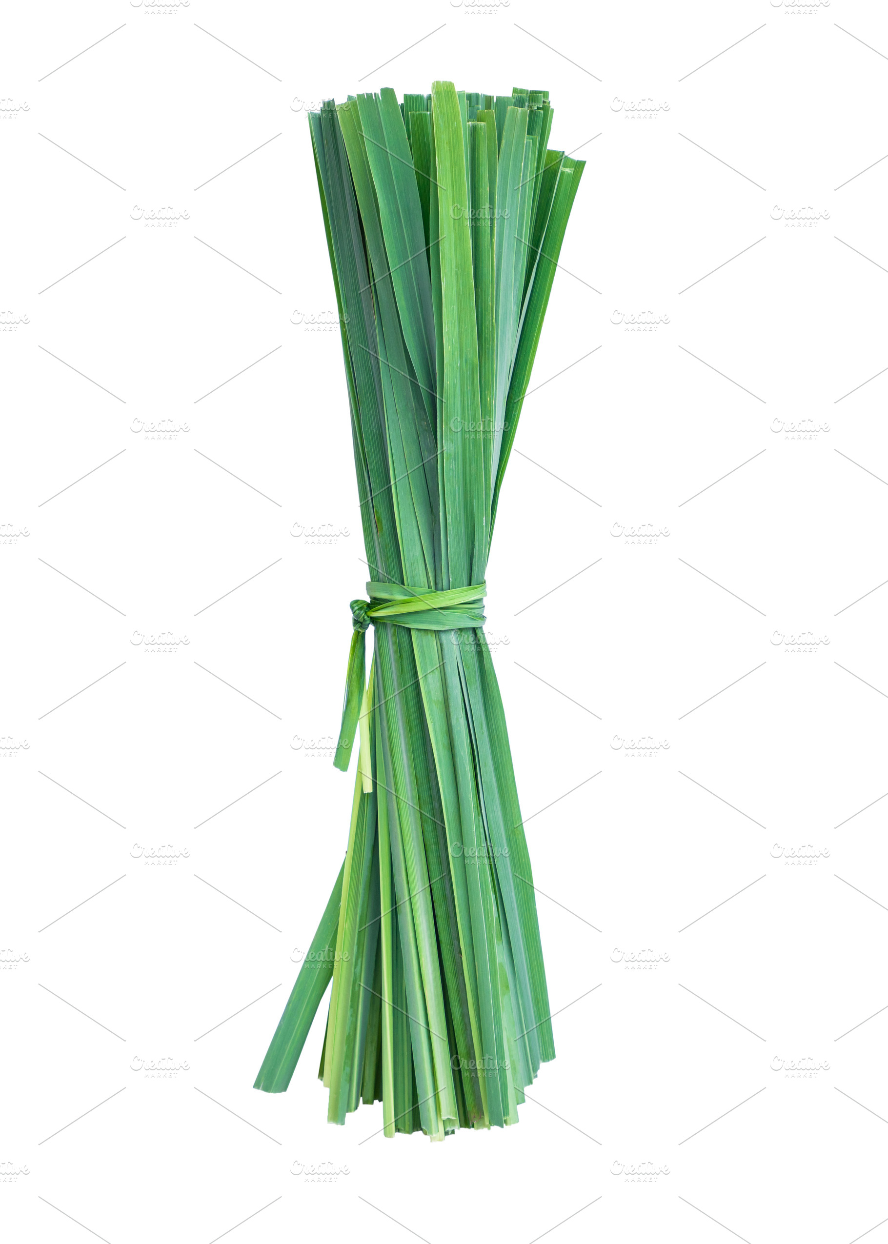 Lemon grass leaf stock photo containing leaf and grass, a Health & Medical Photo by Nednapa
