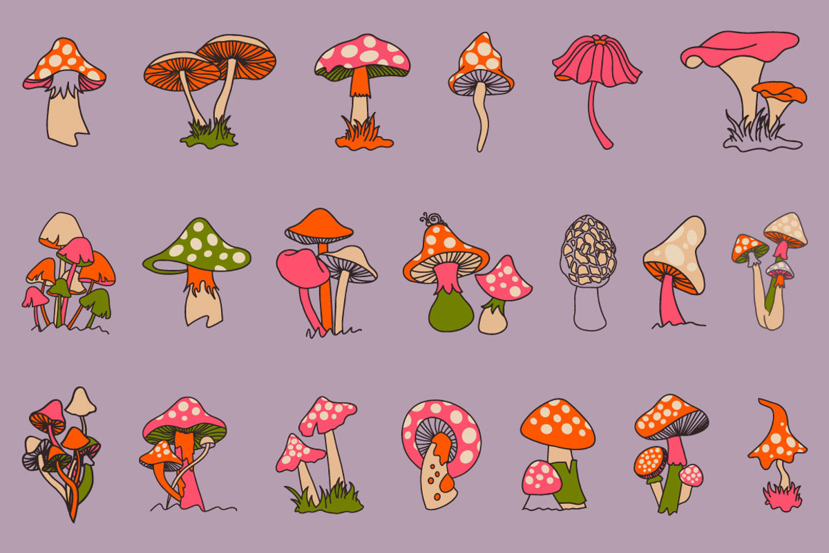 Magic Mushrooms, an Object Graphic by Pulpixel Design (Photo 4 of 7)