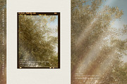 Afterlight - Light Overlays, a Texture Graphic by alonahaidash (Thumbnail 16 of 18)