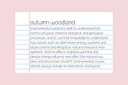 NOTEBOOK HANDWRITING FONT BUNDLE V6, a Handwritten Font by Blush Font Co. (Thumbnail 2 of 11)