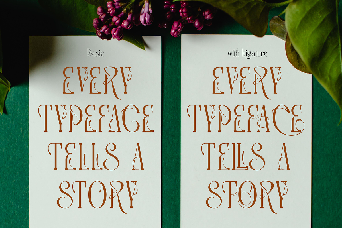 Mintgash Ainlone - Elegant Serif, a Serif Font by TypeClassHeroes (Photo 4 of 10)