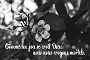 Rufus Font, a Script Font by Moloko88 (Thumbnail 7 of 7)