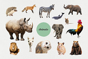 The Maximalist Collage Creator, an Object Graphic by Digi Life (Thumbnail 13 of 27)