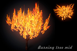 Burning Tree Mid