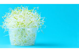 A close-up view of microgreens, a Food & Drink Photo by ZinetroN