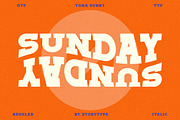 Toma Sunny Slab Serif Font, a Slab Serif Font by Storytype Studio (Thumbnail 3 of 11)