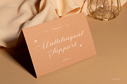 Fantasia – Elegant Script, a Script Font by Almeera Std (Thumbnail 9 of 10)
