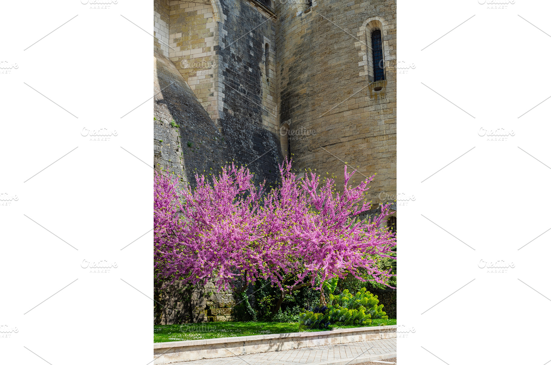Amboise France during springtime, an Architecture Photo by MAnuta