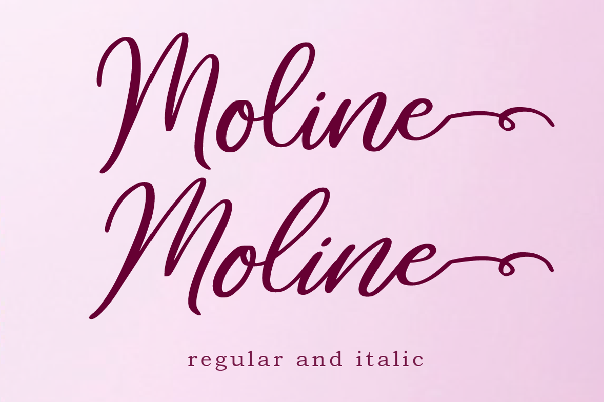 Moline, a Script Font by AMINMARIO (Photo 10 of 12)