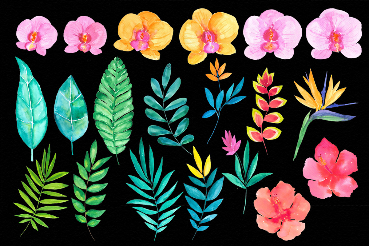 Hawaiian summer vibes RB-16, an Illustration by Charushella (Photo 5 of 5)