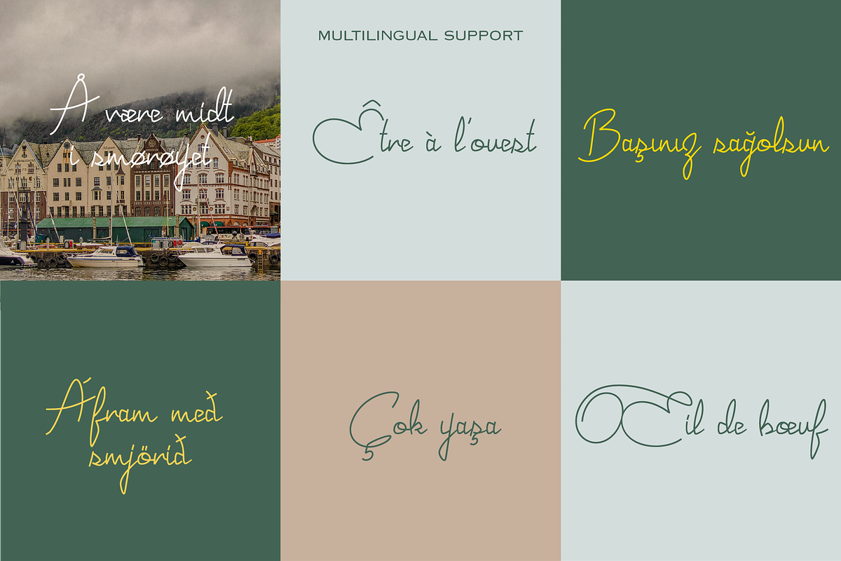 Joyeux Script, a Script Font by Elyas Beria Studio (Photo 7 of 12)
